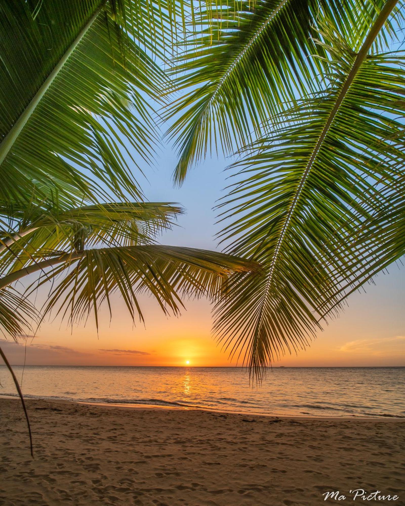 Residence Villas Les Hibiscus Las Terrenas Bagian luar foto